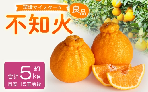 環境マイスターの不知火 良品 5kg （栽培期間中は無肥料・低農薬） 果物 くだもの フルーツ 不知火 しらぬい 柑橘 みかん 【2026年1月上旬～4月下旬迄順次発送予定】