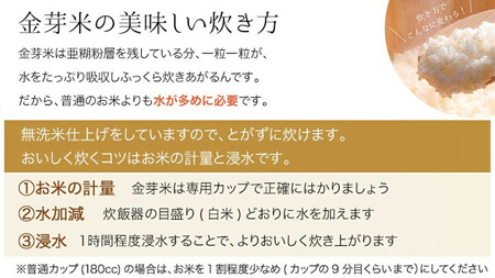 【 金芽米 】＜8月11日から17日までに出荷＞ つくばみらい市産 コシヒカリ 5kg × 2袋 ( 計 10kg ) 金芽米 きんめまい 米 お米 無洗米 茨城県 カロリーオフ 低カロリー 東洋ライ