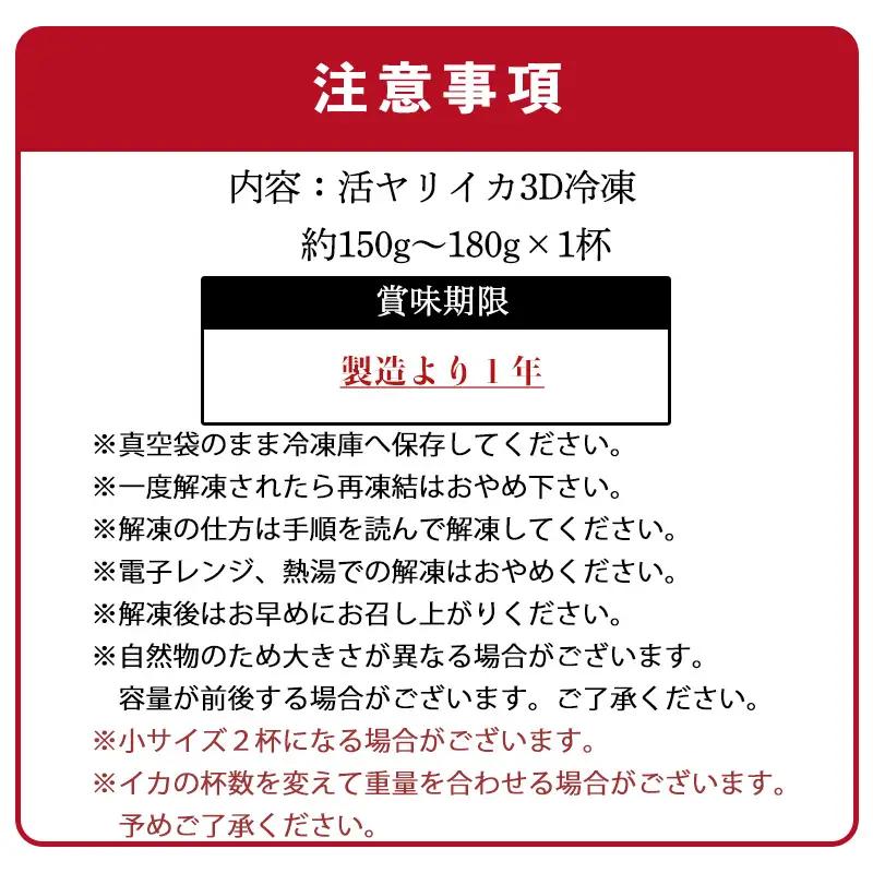 『先行予約』唐津呼子産いか活造り 1杯(約150g～180g)  急速冷凍 新鮮そのまま食卓へ！※水揚げあり次第7月以降順次発送させていただきます。