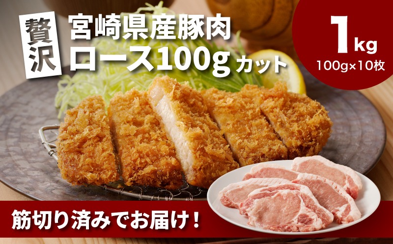 贅沢宮崎県産豚肉ロース100gカット10枚_K16_0149_1