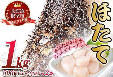 ほたて貝柱500g×2P(計1.0kg) B-45003