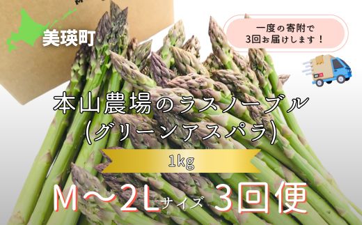 【令和8年産先行予約】北海道 美瑛町幻のアスパラ 本山農場のラスノーブル（グリーンアスパラ）M～2Lサイズ 1kg ≪3回便≫[042-13]