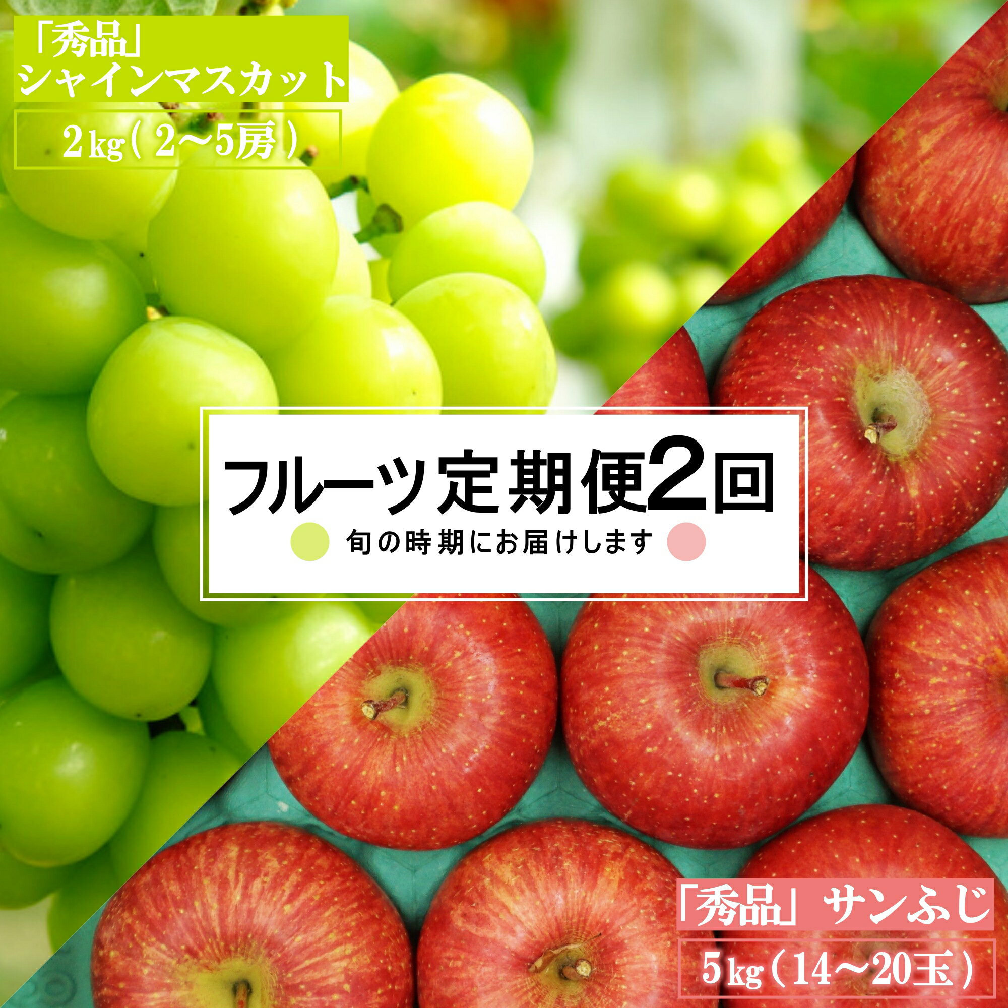 【ふるさと納税】【2026年発送】【定期便2回】山形旬の果物2選（シャインマスカット/りんご）_H183(R8)
