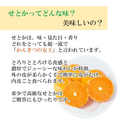 【2026年2月以降発送】とろける濃厚果肉 せとか2kg 愛媛県八幡浜産【C25−37】【1044414】