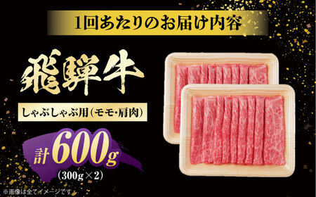 【6回定期便】飛騨牛 牛しゃぶ用赤身 600g 白川町 / 浅井商店[AWBJ019] 飛騨牛