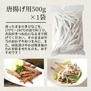 枕崎産 きびなご【合計2kg】冷凍 一夜干し 唐揚げ用 詰め合わせ AA-608【配送不可地域：離島】【1166367】