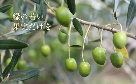 【井上誠耕園】～2025年とれたて～ 新漬けオリーブ ミッション種 80g×3袋