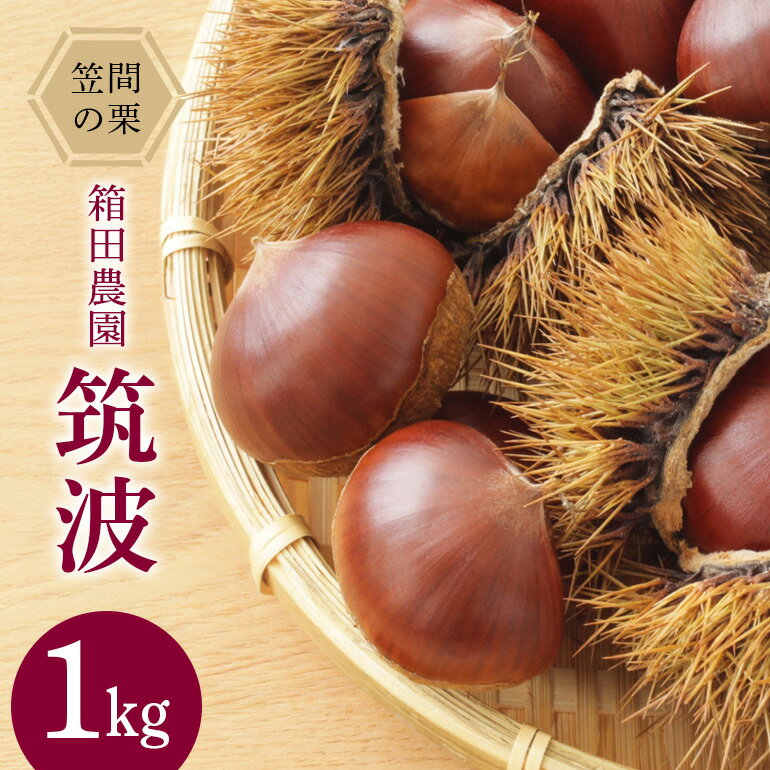 【ふるさと納税】【2026年 秋 先行予約】 笠間の栗・箱田農園の生栗「筑波 」1kg 栗 クリ くり 生栗 茨城県 笠間市 送料無料