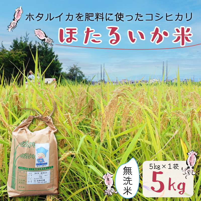 【訳あり】ほたるいか米（無洗米５kg）【通年発送】