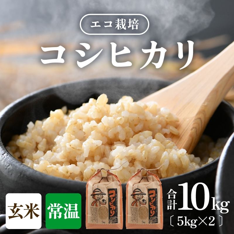 【先行予約】【令和8年産 新米】エコ栽培コシヒカリ 玄米10kg（5kg×2） ／ 鮮度抜群 福井県産 こしひかり ご飯 新鮮 玄米 ※2026年10月上旬以降順次発送 [aw063-a022]