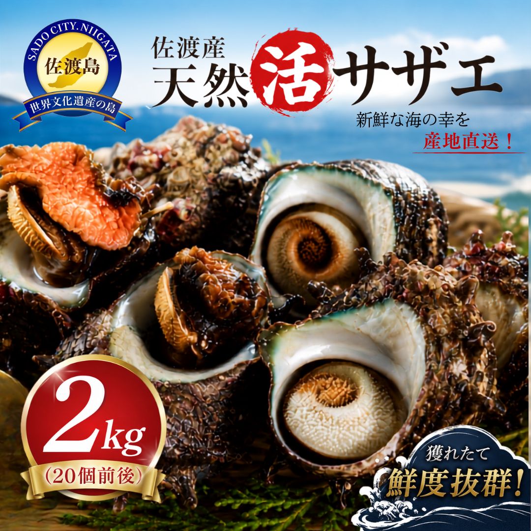 佐渡産 天然活サザエ 2kg（20個前後）195950-0001