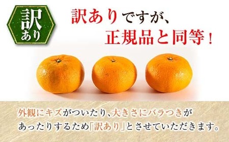 先行予約 訳あり 西南のひかり 10kg ご家庭用 みかん オレンジ フルーツ 果物 くだもの 柑橘 果実 果肉 デザート おやつ 国産 食品 おすそ分け おすそわけ 自宅用 人気 おすすめ 宮崎県 