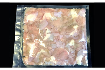 【3回定期便】長崎牛 割腸（小腸） 焼肉・ホルモン 鍋 用 1.2kg  / ホルモン 牛 もつ鍋 南島原市 / はなぶさ [SCN118]