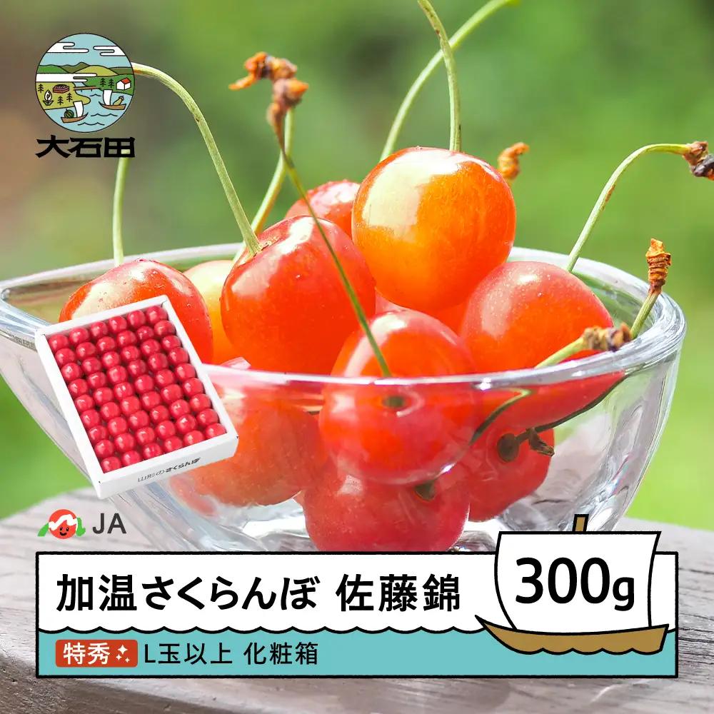 【先行予約】 加温 さくらんぼ 佐藤錦 特秀 L玉 化粧箱 300g 令和9年産 ja-snkxx300