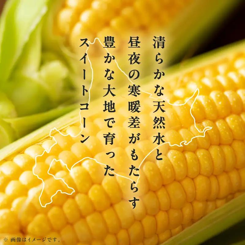 【大坪農園】夏の恵み　北海道東川町産　スイートコーン10本入り