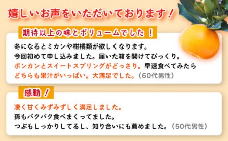 【数量限定】ポンカン&スィートスプリング 食べ比べセット 約9kg【長崎ぶんたんの会】 [OAF009] / 柑橘みかん柑橘みかん柑橘みかん柑橘みかん柑橘みかん柑橘みかん