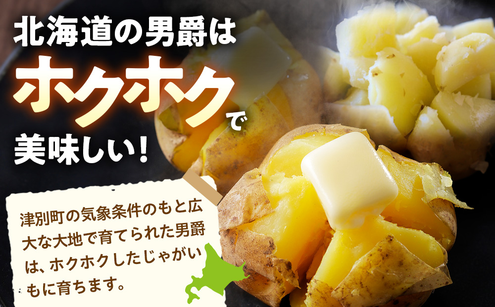 R7年産先行受付 じゃがいも 5kg 特別栽培（男爵） | ジャガイモ 芋 男爵 馬鈴薯 大容量 新鮮 野菜 煮物 カレー シチュー ポテト 保存 特産 産地直送 北海道 津別町 送料無料 5kg