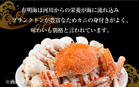 【数量限定】有明海からの贈り物 竹崎かに 800g / 蟹 / 佐賀県 / 宗徳丸 [41ATAF001]