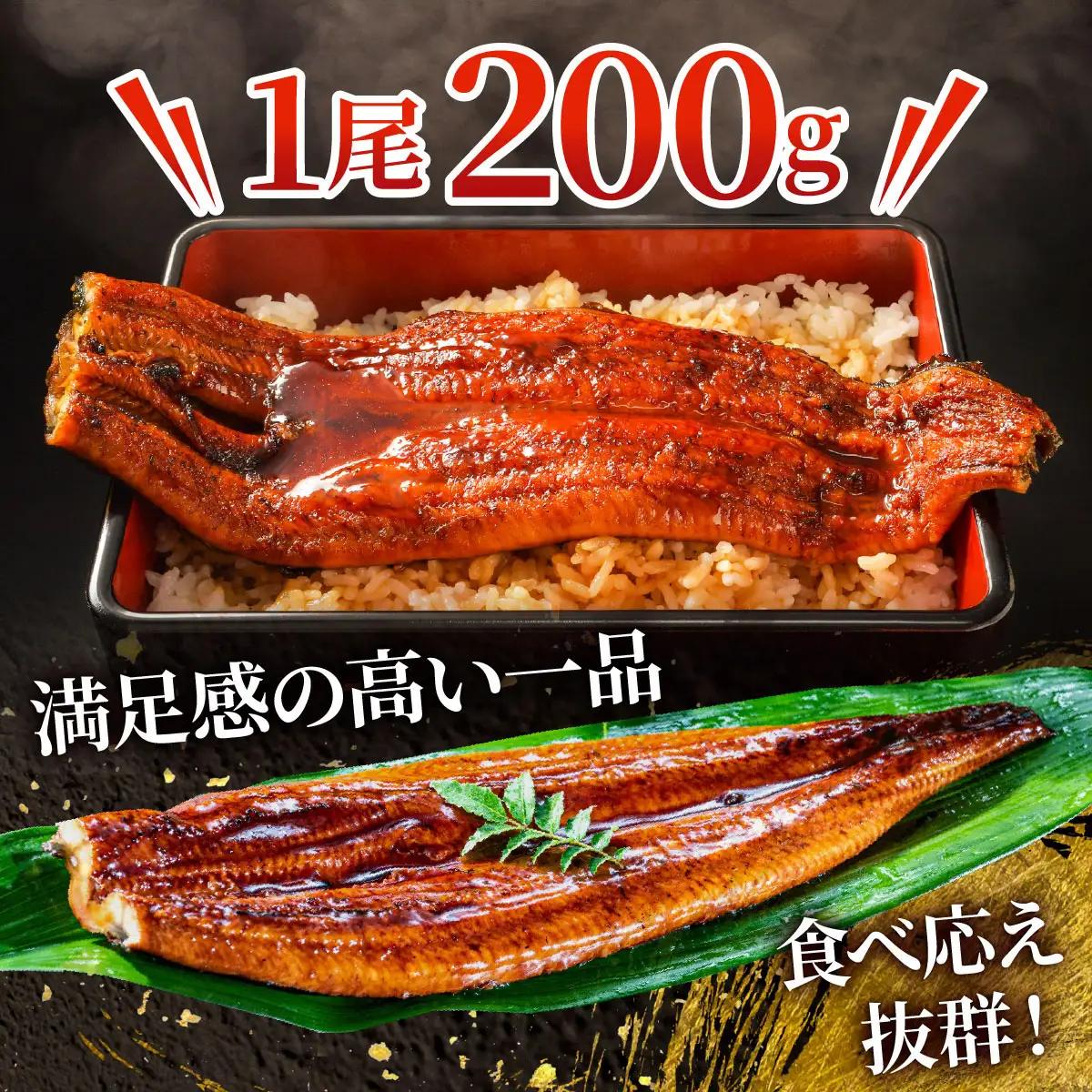 大容量400g！特大うなぎ蒲焼200g×2尾