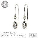 【ふるさと納税】 プラチナ ピアス ダイヤモンド フック ダイヤ 0.1ct フックピアス ペア pt900 シンプル ティアドロップ 雫 涙型 ドロップ 両耳 ジュエリー 人気 山梨県 昭和町 送料無料 管理番号7061409 SWAA086