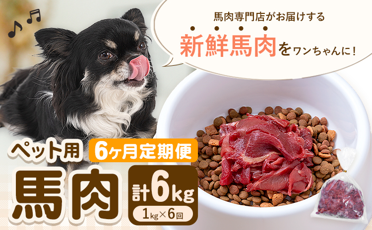 【6ヶ月定期便】ペット用馬肉 1kg × 6回 計6kg 五右衛門フーズ《申込月の翌月から出荷開始》 ペット用 犬用 肉 馬肉 熊本県 菊池市