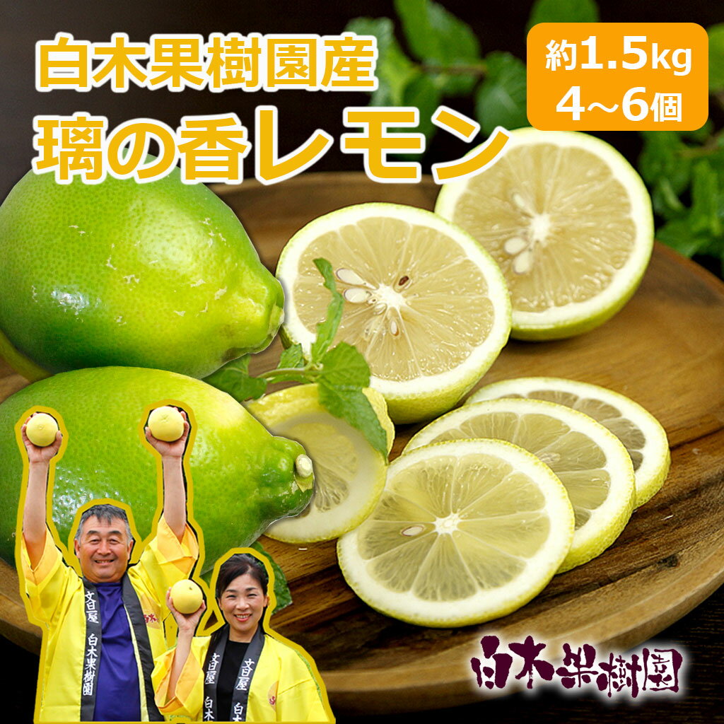 【ふるさと納税】【先行予約】璃の香レモン　約1.5kg　（4〜6個）訳ありご家庭用　〈2026年8月下旬〜9月下旬頃発送〉 / 果物　柑橘　フルーツ　レモン　高知県土佐市　お取り寄せ 産地直送　おいしい 美味しい　白木果樹園【白木果樹園】[BQAI023]