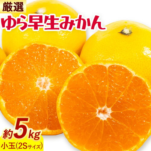 【ふるさと納税】みかん ゆら早生みかん 厳選 小玉 2Sサイズ 5kg GOGO農園《10月上旬-11月末頃出荷》和歌山県 日高川町 みかん 柑橘類 早生 柑橘 蜜柑 フルーツ 送料無料