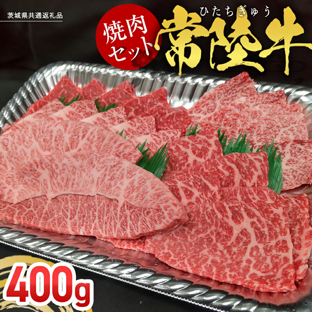 【ふるさと納税】 【常陸牛】焼肉セット 400g (茨城県共通返礼品) 国産 牛肉 肉 お肉 焼き肉 バーベキュー BBQ ミスジ イチボ ササミ ザブトン シンシン カイノミ ボンジョー タテバラ 三角バラ サイコロステーキ サーロイン リブロース ランプ ウワミスジ ヒレ