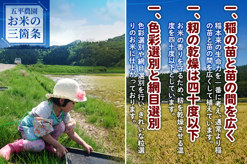 【玄米】ひとめぼれ 令和6年産 秋田県産 五平農園のひとめぼれ 5kg|08_ghn-320501_イメージ4