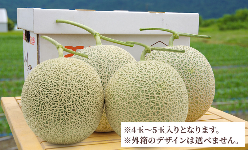 ＜2026年発送＞富良野メロン 秀品 4玉～5玉 （1玉約1.6kg～1.8kg