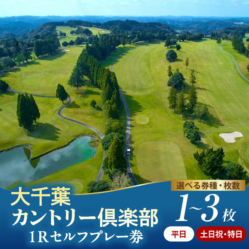 【ふるさと納税】 ゴルフ 利用券 大千葉カントリー倶楽部 1ラウンド セルフプレー券 ( 選べる : 1枚 2枚 3枚 平日 (1月~12月) 土日祝 特日(1月～9月) ゴルフ利用券 ゴルフプレー券 プレー利用券 コース利用券 利用券 プレー券 チケット ゴルフ場 ラウンド 関東 千葉県 市原市