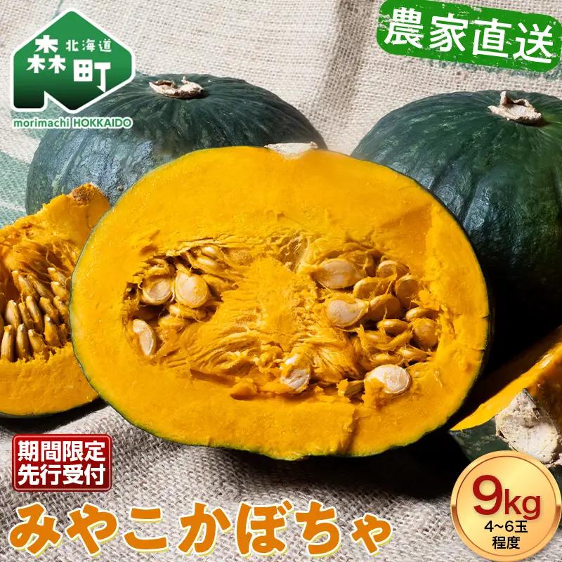 【先行予約】みやこかぼちゃ約9kg 北海道森町産 （令和8年7月下旬～8月上旬順次配送） ＜こうのファーム＞ カボチャ 南瓜 野菜 根菜 煮物 食材 スープ サラダ かぼちゃプリン 天ぷら 北海道 森町 ふるさと納税 mr1-1417