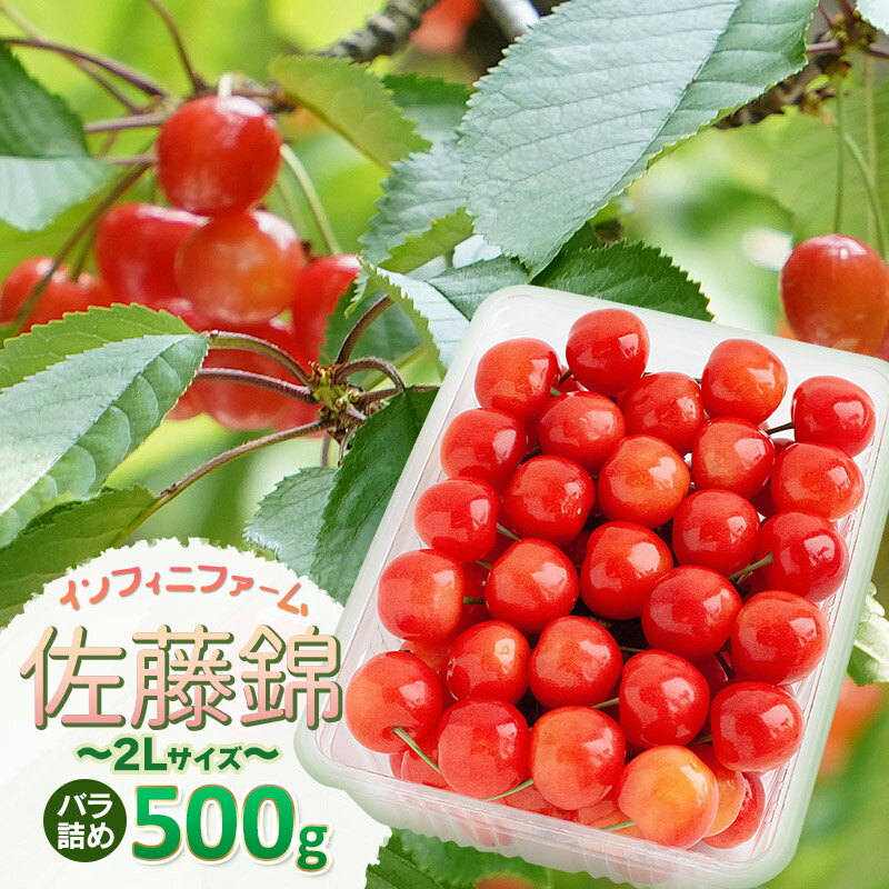 【ふるさと納税】【令和8年産先行予約】インフィニファームのさくらんぼ「佐藤錦」バラ500g（2Lサイズ）　K-848