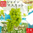 【ふるさと納税】 紀州和歌山産 シャインマスカット2房（約1kg〜1.4kg） ※2025年8月中旬頃〜2025年9月上旬頃に順次発送予定 / マスカット 種無し フルーツ 果物 くだもの 葡萄 ぶどう ブドウ