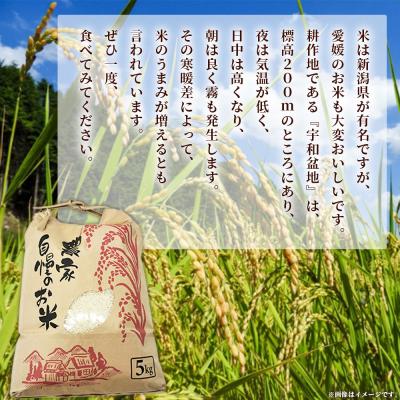 ふるさと納税 西予市 <新米 令和7年産 西予市宇和町産 コシヒカリ 約5kg> お米 コメ こめ 白米 |  | 03