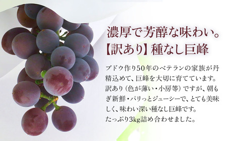 【先行予約】種なし 巨峰ブドウ (訳あり) 約3kg (7～12房)  | ぶどう 果物 フルーツ 産地直送 甘い 大分県産 九州産 中津市