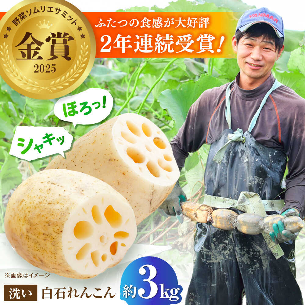 【ふるさと納税】【野菜ソムリエサミット金賞】白石町産 絶品洗いれんこん約3kg【野中農園】 2026年8月～発送 農家直送 レンコン 蓮根 小分け 野菜 根菜 佐賀県 白石町 白石 [IDC003]