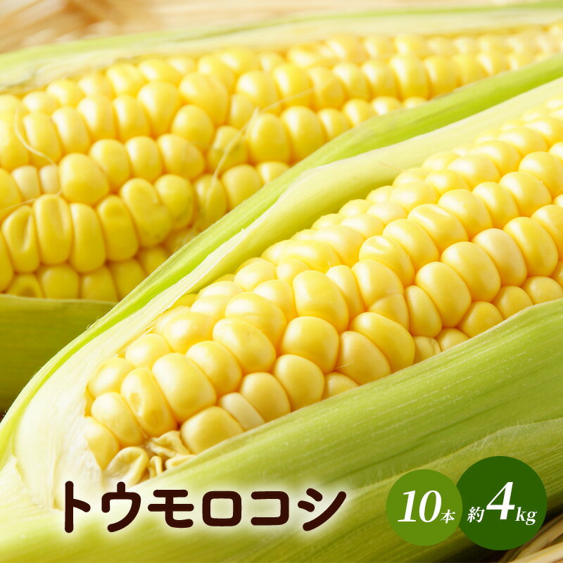 【ふるさと納税】トウモロコシ（味来）10本　約4kg 野菜 コーン 甘い 生でも食べられる 食材 国産 国産野菜 グルメ 　お届け：2025年8月下旬～10月上旬