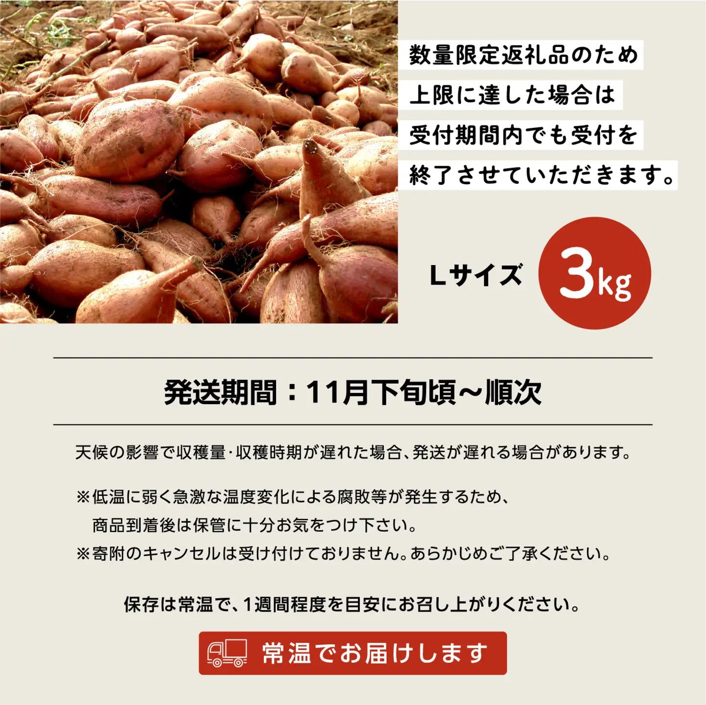 【先行予約】種子島 安納いも 3kg（Lサイズ：300g～400g）（秀さん農園）さつまいも 本場 安納芋 安納紅 安納こがね さつま芋 甘い ねっとり スイーツ おやつ グルメ お取り寄せ 人気 種