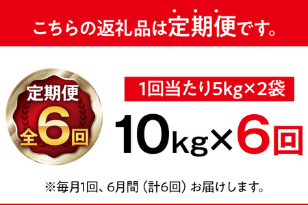 【無洗米】 令和8年産 金のめし丸 元気つくし 合計60kg 10kg (5kg×2袋) ×6回 定期便 白米 精米 お米