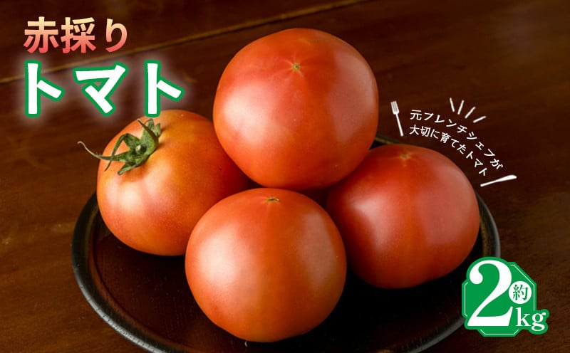
            moto farm トマト 2kg  甘みと酸味の絶妙なバランスの麗月トマト 赤採れ  | トマト とまと 野菜 産地直送 数量限定 完熟 赤採れ とまと2kg 愛媛 松山 
          