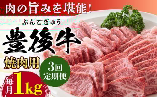 【全3回定期便】おおいた豊後牛 焼肉用 1kg(500g×2P) 日田市 / 株式会社MEAT PLUS 牛肉 おおいた豊後牛 おおいた 豊後牛 黒毛和牛 国産  焼肉 焼肉用 [AREI101]
