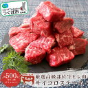 【ふるさと納税】村下商事シリーズ 厳選高級部位 牛ヒレ肉 サイコロステーキ 500g | 茨城県 つくば市 牛肉 厳選 高級部位 焼肉 肉質 上質 ジューシー肉 牛ヒレ肉 牛 ヒレ サイコロス テーキ ジューシー 肉の女王 旨味 高品質 ギフト 1124500