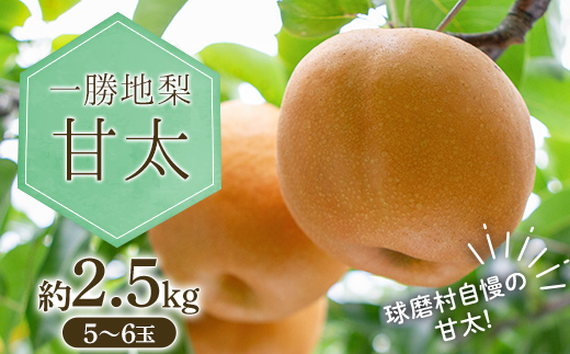 FKP9-713 一勝地梨 甘太 約2.5kg なし ナシ デザート フルーツ 果物 くだもの 果実 食品