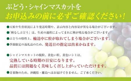 【訳あり】【数量限定】土屋さんのシャインマスカット（４～５房程度・２ｋｇ～２．２ｋｇ）　訳あり 訳アリ シャイン マスカット フルーツ 果物 くだもの やまなし 山梨 ぶどう ブドウ 葡萄 規格外 産