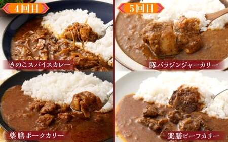 カラダ想いのスパイスカレー（2種4個×5回）毎月【5回定期便】 薬膳ビーフカリー 豚バラジンジャーカリー 薬膳ポークカリー きのこスパイスカレー スープカレーベース バターチキンカレー ベジタブルカレ