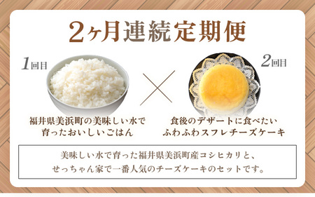 定期便≪2ヶ月連続お届け≫ 米 令和5年産 コシヒカリ5kg ＆ せっちゃん家の絶品チーズケーキ 約600g【精米】【福井県美浜町産米】[m60-a006]