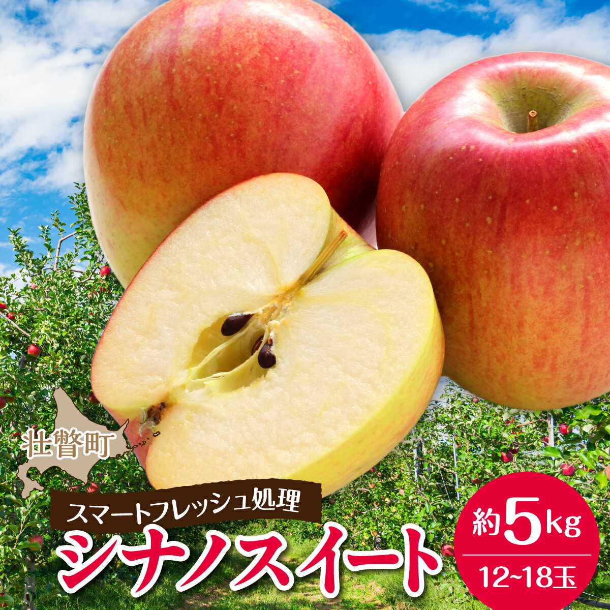 【ふるさと納税】北海道壮瞥町　りんご(スマートフレッシュ)　品種名「シナノスイート」12～18玉 約5kg　【 ふるさと納税 人気 おすすめ ランキング りんご リンゴ 林檎 シナノスイート 甘い ジューシー 北海道 壮瞥町 送料無料 】SBTF027