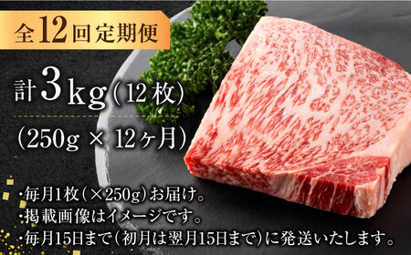 【全12回定期便】【A4ランク以上！】博多和牛 サーロインステーキ250g×1枚 広川町/株式会社MEAT PLUS[AFBO004]