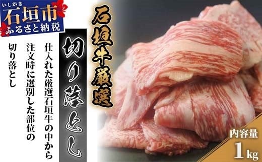 
                  厳選 石垣牛 切り落とし 1kg
                